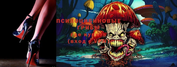 бошки Бугульма