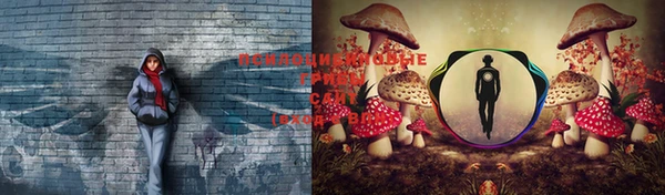 крисы Верхнеуральск