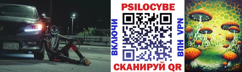 Псилоцибиновые грибы GOLDEN TEACHER  Буйнакск 