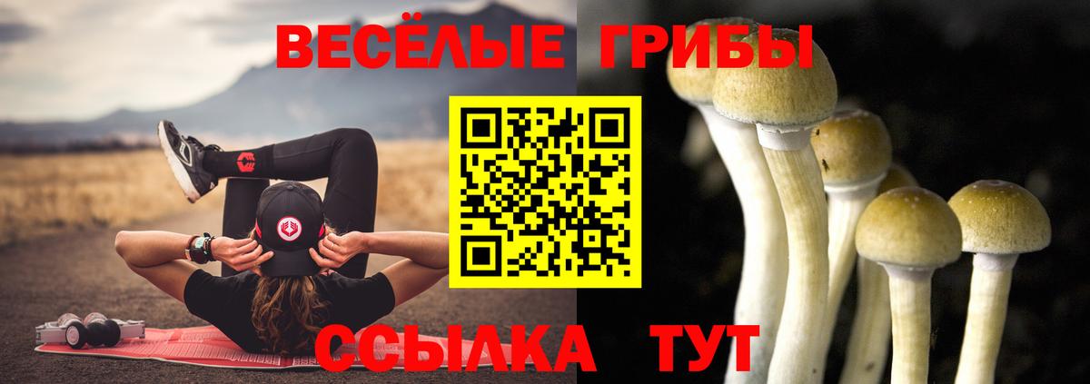 Псилоцибиновые грибы Magic Shrooms  Псилоцибиновые грибы Psilocybine cubensis  Буйнакск 